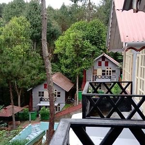 Kasa Resort-Best Holiday Resort In Ziro